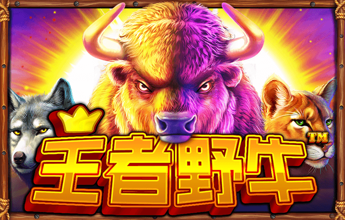 bst365.com截图1